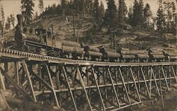 Train Carrying Logs Postcard