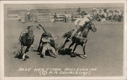 Mike Hastings Bulldogging Rodeos Postcard Postcard Postcard