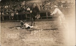 Cowboy on Bucking Bronco Pendleton round-Up Oregon Rodeos Dennis Photos Postcard Postcard Postcard