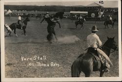 Vern Stall on Mama Baby Cody, WY Rodeos Postcard Postcard Postcard