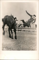 Cowboy Thrown From Bucking Horse Postcard