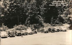 Entrance to Mystery Spot Postcard