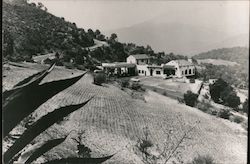 View of Mexican Farm Postcard