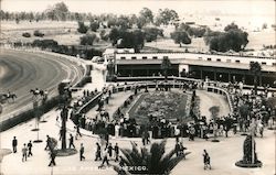 Hipodromo De Las Americas Mexico Postcard