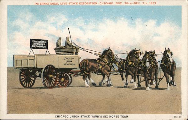 Chicago Union Stock Yard's Six Horse Team Illinois
