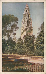 California Tower from the Alcazar Gardens Postcard