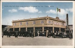 Big Curio Store Postcard