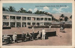 Royal Poinciana Tennis Courts Postcard