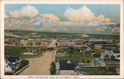 Bird's-Eye View Livingston, MT Postcard Postcard Postcard