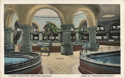 Main Floor View, New York Aquarium Postcard
