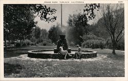 Crane Park, Turlock, California Postcard