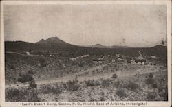 Hyatt's Desert Camp, Cactus, P.O. Health Sport of Arizona, Investigate! Postcard Postcard Postcard