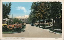 Looking Along Elms Boulevard Postcard