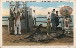 World's Record Broadbill Swordfish Caught at Catalina Island, California, Weight 571 Lbs. Postcard