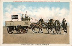 Chicago Union Stock Yard's Six Horse Team Postcard