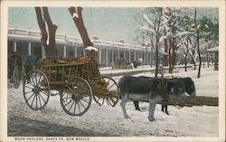 Wood Haulers Postcard