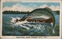 Greetings from Panama City, Fla. - They Are Biting Well Here Florida Postcard Postcard Postcard