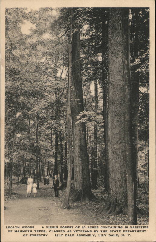 Leolyn Woods Lily Dale New York