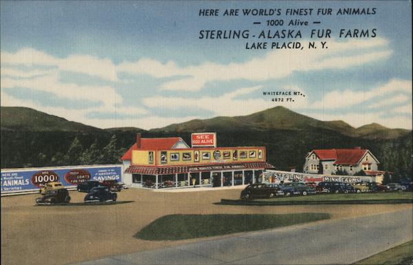 Sterling-Alaska Fur Farms Lake Placid New York