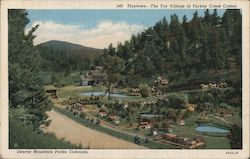 The Toy Village is Turkey Creek Cañon - Denver Mountain Parks, Colorado Postcard Postcard Postcard