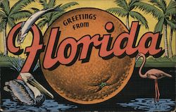 Greetings from Florida Postcard