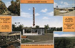 Dr. Phillip's Pickinghouse Postcard