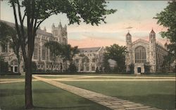 Law Quadrangle, University of Michigan Postcard