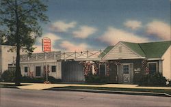 Magnolia Motor Hotel Postcard