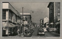 A Business Section of Telegraph Avenue Postcard