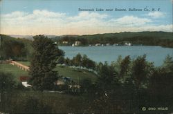 Tennanah Lake near Roscoe, Sullivan Co., N.Y. Postcard