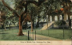 Scene in Wheeler Park Postcard