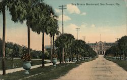 See Breeze Boulevard Postcard