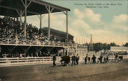 Viewing the Prize Cattle at the State Fair Postcard