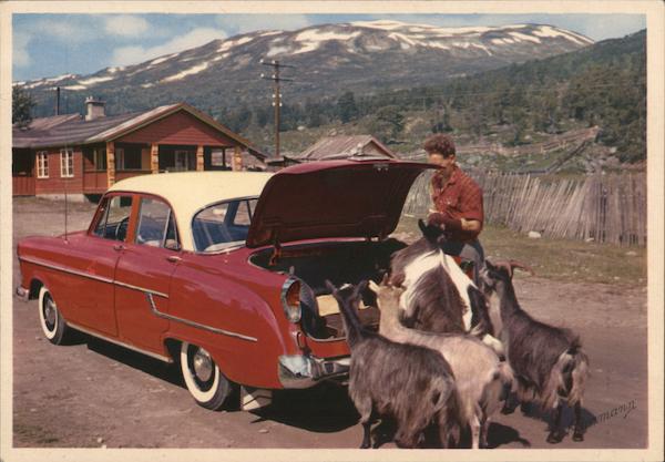 Mountain Landscape, Prying Goats Norway