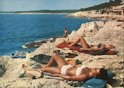 Girls in Bikinis Sunbathing Postcard