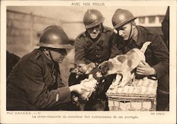 Le Chien-Mascotte du Colombier Fait Connaissance de ses Protégés Postcard