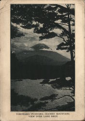 Stock #954781 Thumbnail