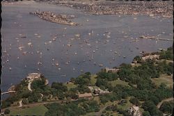 Newport Harbor, Goat Island Postcard