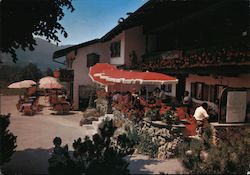 Stock #954845 Thumbnail