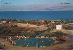 Ein Fachkha Postcard