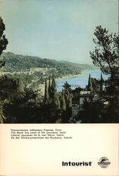 Stock #954966 Thumbnail