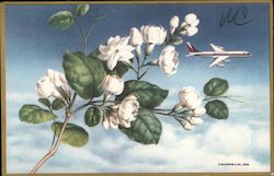 Stock #955144 Thumbnail