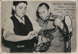 Milking a Rattlesnake  - Ripley's Believe it or Not Ephemera