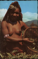 Tea Pickers of the Wahgi Valley (Topless / Nude) Papua New Guinea South Pacific Postcard Postcard Postcard