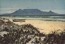 Abbott Dear Doctor Table Mountain Postcard