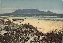 Abbott Dear Doctor Table Mountain Postcard