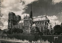 Notre Dame Cathedral Paris, France Postcard Postcard Postcard