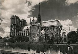 Notre Dame Cathedral Postcard