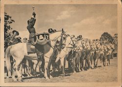 Unsere Waffen SS Postcard