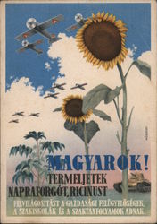 Sunflowers, Aircraft - Magyarok Termeljünk Napraforgót Ricinust Postcard